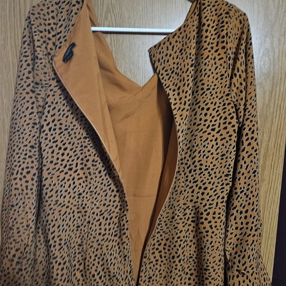 Ann Taylor Factory Animal Print Knee Length Dress! - Picture 4 of 6